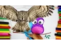 Letter O Owl coloring page - Free Learning Colors for Kids and children