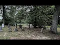 Family Cemetery in The Heart of Bustling City - Pooler GA History Chatham County GA