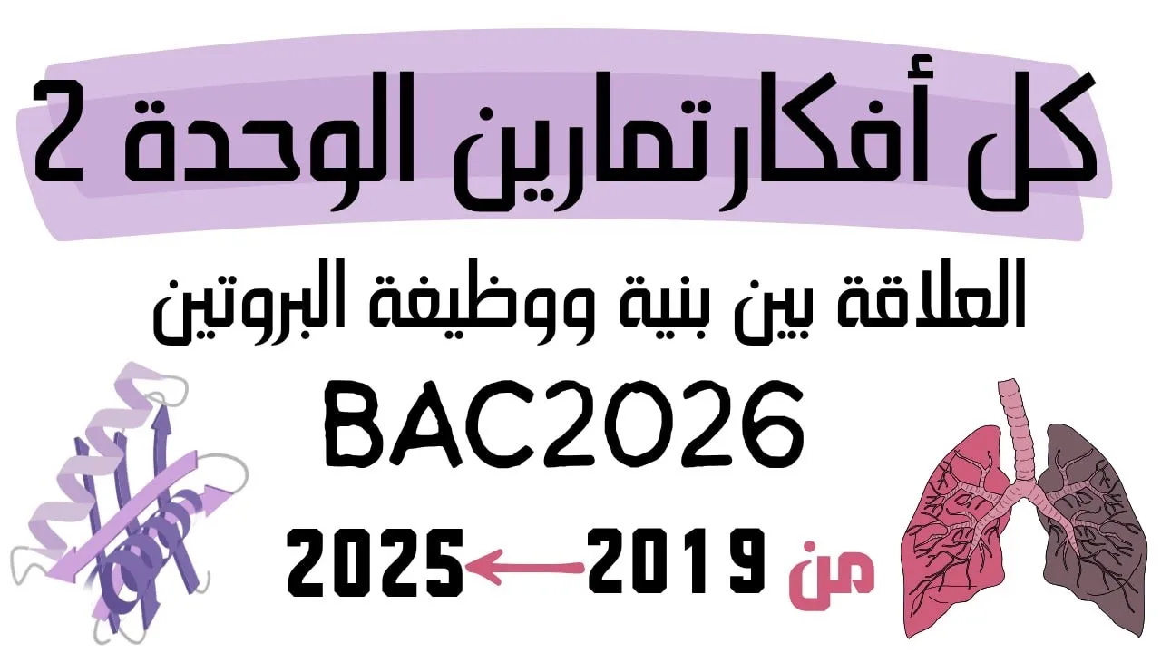 جميع أفكار تمارين العلاقة بين بنية ووظيفة البروتين (من 2019 إلى 2025)😎