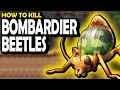 How to Kill BOMBARDIER BEETLES in Grounded 1 0 2025
