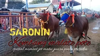 saronin kembang malate pote spesial jet matic