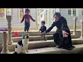 Download Lagu Zulfa's nomadic life in the master's house, the cat Pishy arrives next to Aida
