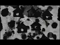 Demi Lovato - 4 EVER 4 ME (Visualizer)