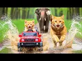 Download Lagu 🐱 Mama Cat \u0026 Kittens Help Elephant Trapped in Deep Muddy Water 🐾🌊 | Animal Story