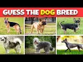 Ultimate Dog Lover Trivia Guess the Breed Impossible
