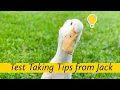 Test Taking Tips for Kids from Jack