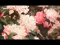 Luke Chiang - Deserve This (ft. Jesse Barrera) (Lyric Video Eng/Kr) [가사/번역]
