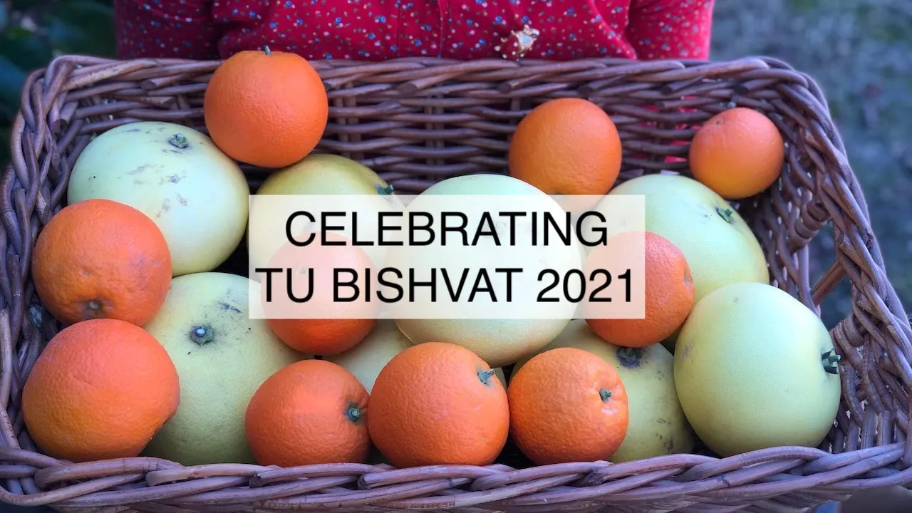 TU BISHVAT 2021 (Our Low Key Celebration)