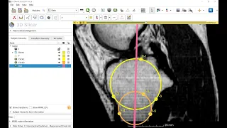 Custom interactive measurement using Python scripting