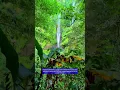Download Lagu Sekumpul Waterfall Adventure: 260 Ft of Pure Bliss