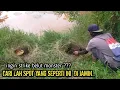 Download Lagu REJEKI MANCING BELUT‼️MENEMUKAN SARANG BELUT MONSTER BERJEJER HANYA DI SATU LOKASI