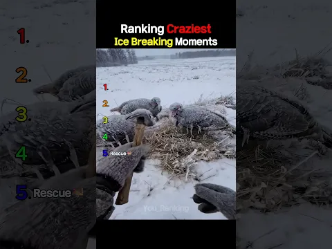Ranking Craziest Ice Breaking Moments