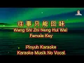 往事只能回味 - Wang Shi Zhi Neng Hui Wei - Karaoke - Musik No Vocal