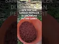 Download Lagu Pupuk sawit pak tani, sudah setara popularitas nya dengan pupuk mahkota. #pupuk #sawit
