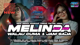 dj melinda aw aw walau cuma 1 jam saja viral di pesona gondanglegi fyp tiktok amir discjokey 
