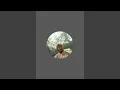Download Lagu mantau ular kobra yg masuk ke dalam pekarangan..suasana malam di pelosok desa sangat mencekam..