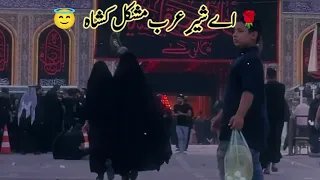 aiy sher e arab bab e haram mushkil kusha hai tera laqab rahat fateh ali khan labaik ya hussain