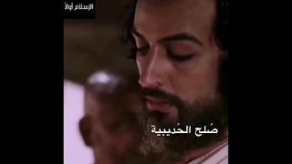هذا ماصالح عليه محمد بن عبدالله مع سهيل بن عمر صلح الحديبية 