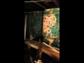 http philadelphia craigslist 5512046036 html