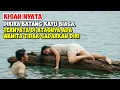 Download Lagu DIKIRA BATANG KAYU BIASA, TERNYATA DI ATASNYA ADA WANITA TIDAK SADARKAN DIRI