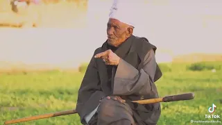 شعر صعيدي كلام كبار الفن الصعيدي فن تراثي 