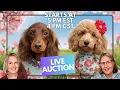 Saturday LADIES NIGHT AUCTION Tink Great Deals on Huge Variety Sale