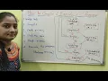 C-Language Class-13 Compiling and Execution of a C Program Telugu Scit Tutorials