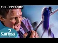 DEADLY Showdown at 30 000 Feet Aboard FedEx Flight 705 FULL EPISODE Mayday Air Disaster