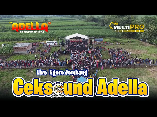 Download MP3 DENGAR CEKSOUND INI AGAR TIDUR NYENYAK || TEMAN BIASA - OM ADELLA Live Badang Ngoro Jombang