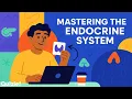 Endocrine System Explained Hormones Feedback Loops and Real Examples