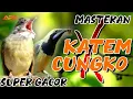 Lagu KATEM VS CUNGKO SPESIAL MASTERAN NEMBAK NGEBREN | AUDIO JERNIH