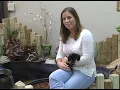 North Mississippi Pet Supply