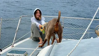 Episode 168 – First Sail of the Season After Gearbox Rebuild!