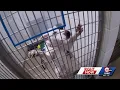 Adoption fees waived for adult dogs cats at KC humane society through Sunday