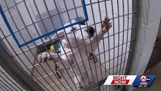 Adoption fees waived for adult dogs cats at KC humane society through Sunday