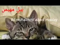 Download Lagu BIL MUHAIMIN Lirik Cover tarta Kusuma)