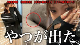 緊急事態！！！！侵入されました