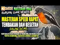 Download Lagu SUARA MASTERAN BURUNG LUAR NEGERI PART-4 || SPEED RAPAT TEMBAKAN DAN BESETAN || masteran murai batu