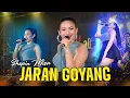 Lagu JARAN GOYANG - Shepin Misa | Apa Salah dan Dosaku, Sayang? (Official Music Video)