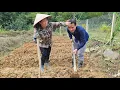 Download Lagu A kind man and a single mother leave town to live a free life in the green forest. ly tu tay 