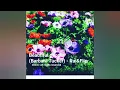 Beautiful people (Barbara Tucker) - Rui&Flip