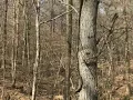 548 acres Warren County Mississippi