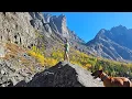 Download Lagu США. Запасаем шиповник на зиму. МОНТНА осенью.