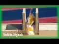 Magnet Smash in 4k