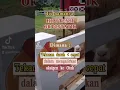Download Lagu Siapa nih yg sering merasa kayak mau pingsan??