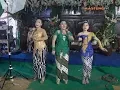 Download Lagu Sragenan Gayeng Goyang Semarang Jago Kluruk