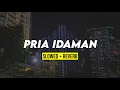 Download Lagu PRIA IDAMAN (slowed + reverb)