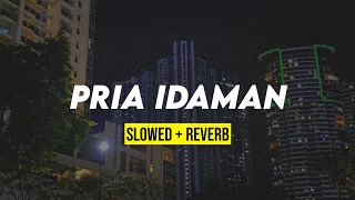 Download PRIA IDAMAN (slowed + reverb) MP3