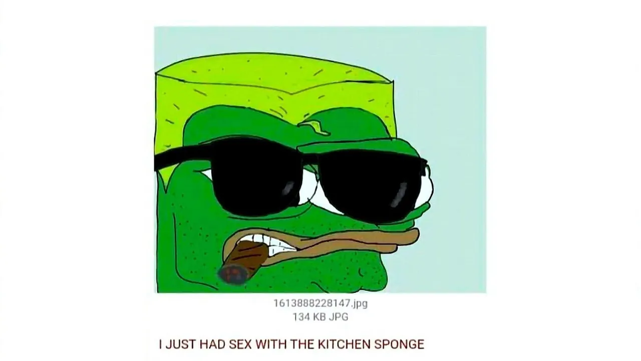 I JUST HAD SEX WITH THE KITCHEN SPONGE