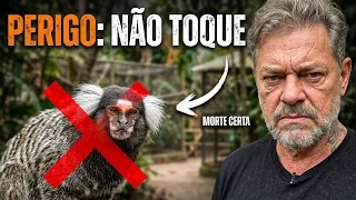 MORCEGOS, SAGUIS E RAIVA: O QUE VOCÊ PRECISA SABER! 🦇⚠️